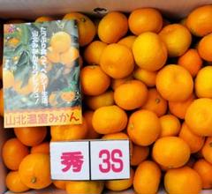高知産　温室山北みかん　約５Kg　 3S サイズ　秀品☆ 2025年最新】山北みかん 3sの人気アイテム - メルカリ