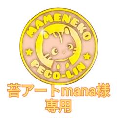 苔アートmana様 専用出品 豆猫PECO-LIN 苔アートmana様 専用出品 豆猫PECO-LIN - メルカリ