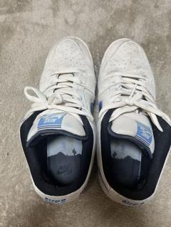 Nike SBダンク サボテン