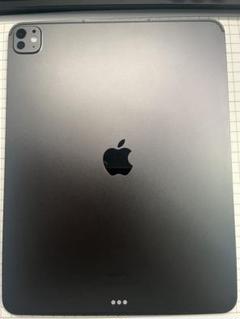 iPad Pro 13インチ M4[256GB] セルラー SIMフリー