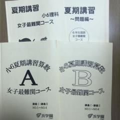 浜学園 小6 国語 記述力養成講座 No.1〜No.18 説明的/文学的文章 基礎/応用編/総合演習等 計18回分 2024 035M2D 浜学園 小6 国語 記述力養成講座 No.1〜No.18 説明的/文学的文章