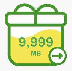 mineo マイネオパケットギフト 9999MB