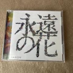 ハルカミライ CDセットの通販 by ※急に出品取り下げる場合が