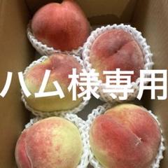 ハム様専用のサムネイル