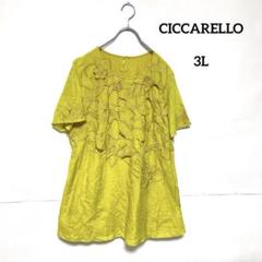 CICCARELLO 花刺繍チュニック 黄系 半袖 3L ゆったり