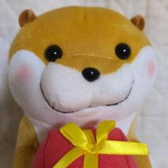 可愛い嘘のカワウソ ぬいぐるみ まとめ売り 可愛い嘘のカワウソ まとめ売り ぬいぐるみ - メルカリ