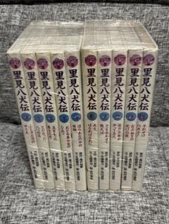 ジュニア版　里見八犬伝　全10巻セット　滝沢馬琴　あすなろ出版 ジュニア版 里見八犬伝 全10巻セット 滝沢馬琴 あすなろ出版