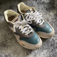 ナイキ カシナ Air Max 1 "Won-Ang/Grey"