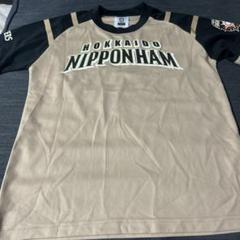 北海道日本ハムファイターズ　陽岱鋼　旧ビジターユニフォーム 北海道日本ハムファイターズ 陽岱鋼 旧ビジターユニフォーム