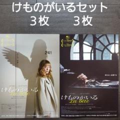 映画 けものがいるセット チラシ フライヤー - メルカリ