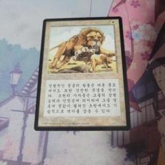 MTG サバンナ・ライオン 韓国語 MTG サバンナ・ライオン 韓国語 - メルカリ