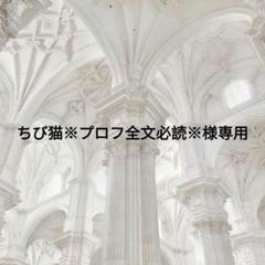 【専用出品】6/1以降発送✳︎購入前プロフ必読 様 2025年最新】プロフ必読様専用の人気アイテム - メルカリ