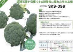 売り尽くし激安！ブロッコリー コート種子(クリア)5000粒 売り尽くし激安！ブロッコリー コート種子(クリア)5000粒 - メルカリ