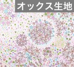 リバティ アデラジャ オックス生地 108cm×50cm