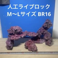 送料無料】人工ライブロックPHR15／9穴加工アク抜き済み安心塗料使用