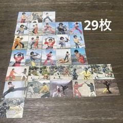 【昭和】ザ•カラテ ミニカード29枚まとめ売り m56863923853_1.jpg?1705737782