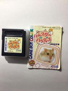 ハムスターパラダイス Amazon | ハムスターパラダイス | ゲームソフト