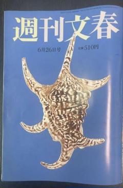 レア 週刊少年マガジン 上戸彩 表紙 ポスター付き 2006年5月 21,22号 レア 週刊少年マガジン 上戸彩 表紙 ポスター付き 2006年5月 21