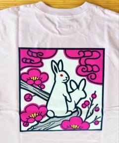 2025年最新】FR2 tシャツ 梅の人気アイテム - メルカリ