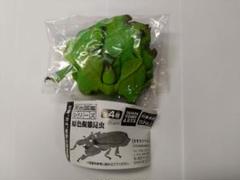 原色図鑑シリーズ オオコノハムシ