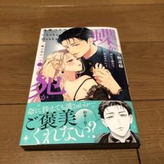 蝶か犯か ～極道様 溢れて溢れて泣かせたい～(11)