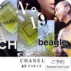 ■ N°19《プードレ》オードゥパルファム CHANEL 香水レディース