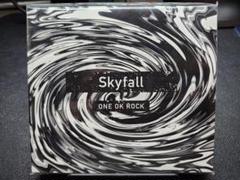 2025年最新】one ok rock skyの人気アイテム - メルカリ
