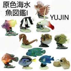 激レア】原色海水魚図鑑Ⅰ [ セミコンプ ] フィギュア セット