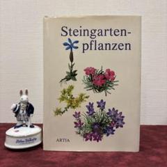 621B①希少1904年アンティーク植物図鑑　洋書古書　ボタンニカル　イラスト 621B①希少1904年アンティーク植物図鑑 洋書古書 ボタンニカル