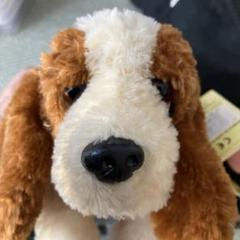 レトロぬいぐるみ　犬　バセットハウンド　垂れ耳　犬 2025年最新】バセットハウンド ぬいぐるみの人気アイテム - メルカリ