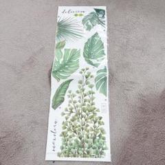 ウォールステッカー　観葉植物　葉っぱ　２枚入り