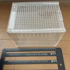 2025年最新】ケージ 中古 爬虫類の人気アイテム - メルカリ