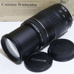 ☆大迫力300mm超望遠レンズ☆キャノン EF 90-300mm☆ - メルカリ