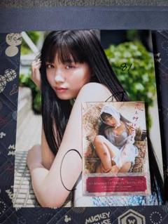 鶴嶋乃愛直筆サインパネル100名限定品　フォトブック2点セット 鶴嶋乃愛直筆サインパネル100名限定品 フォトブック2点セット