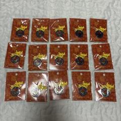 新品未開封 ポケモンセンタートウホク 限定 ロゴピンズ 15個セット 新品未開封 ポケモンセンタートウホク 限定 ロゴピンズ 15個