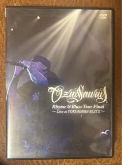 2025年最新】ozrosaurusの人気アイテム - メルカリ