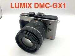 LUMIX GX1 美品 G-VARIO 14-42mm aostaケース付属