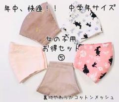 裏地コットンメッシュ 立体インナーマスク子供用5枚