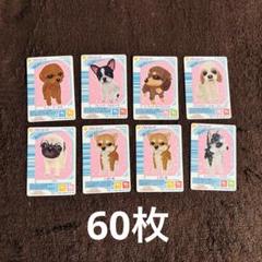 ワンタメカードノーマル 2025年最新】ワンタメカードの人気アイテム - メルカリ