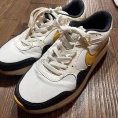 ナイキ エアーマックス sc ゴールド