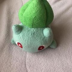 ポケモンセンター フシギダネ ぬいぐるみ 2004年製 ポケドール