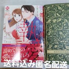 捨てられた花嫁はエリート御曹司の執愛に囚われる　　小川つぐみ　送料込みのサムネイル