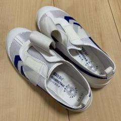 moonstar BiOTef上履き 22.0cm ホワイト/ネイビー