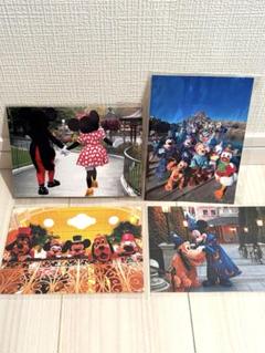【バラ売不可】ディズニーシー　ディズニーリゾート　生写真