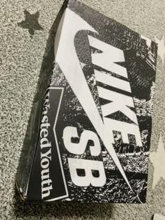 Nike SB Wasted Youth Special Box 28.5cm