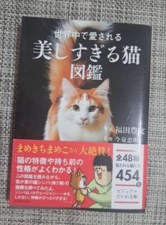 美しすぎる猫図鑑