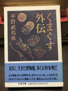【中古】 幽霊・悪霊ものがたり事典/国土社/平野威馬雄 幽霊悪霊ものがたり事典 平野威馬雄 - メルカリ