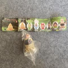 こびとづかんおすわりマスコット4 シークレット