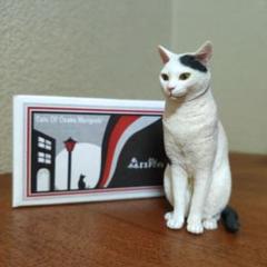 森口修の猫　17