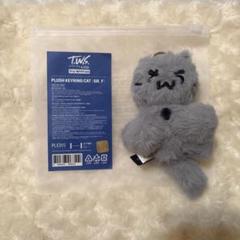 TWS キーリング トゥニャンイ TWS ポップアップ THE AZIT キーリング 猫 トゥニャンイ - メルカリ